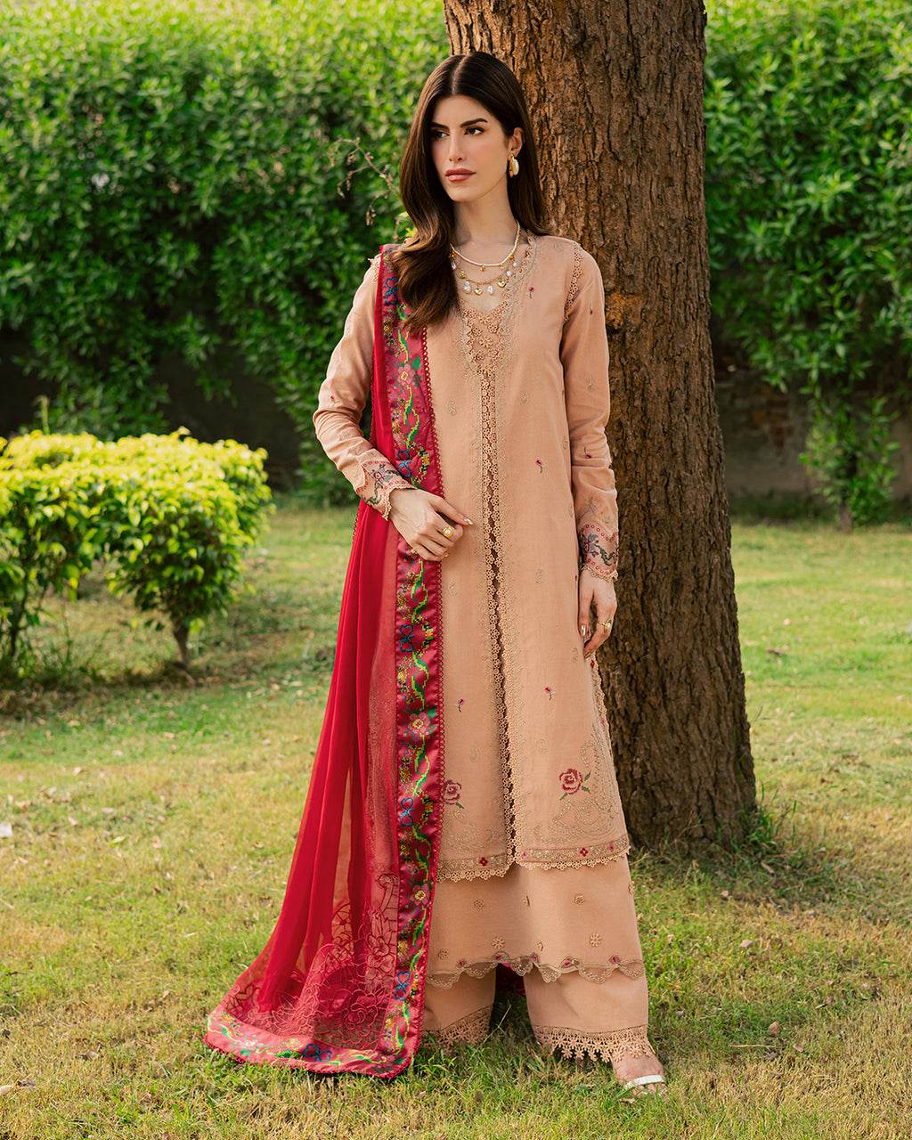 Ayla